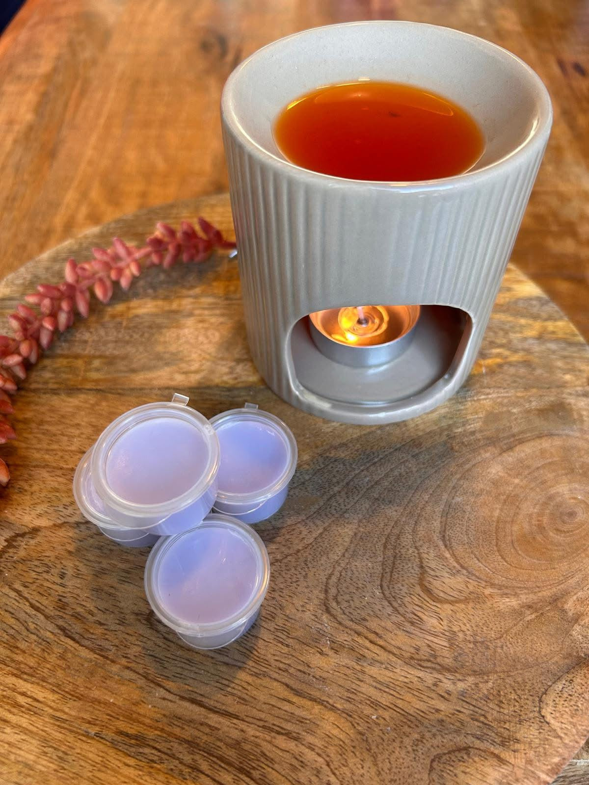 Waxmelt Flowers