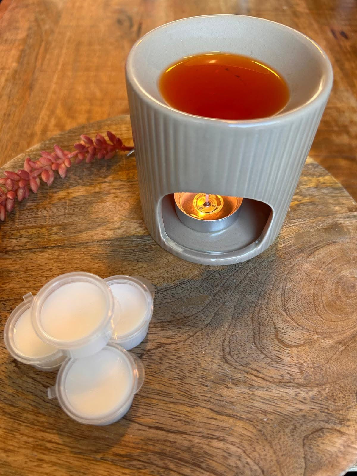Waxmelt Kokos