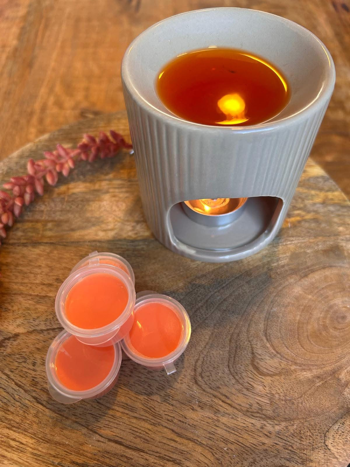 Waxmelt Kerst koekjes